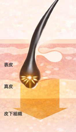 ブレンド波長