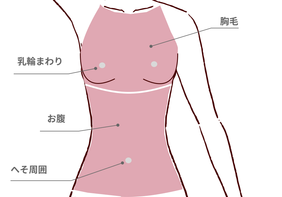 about-abdomen