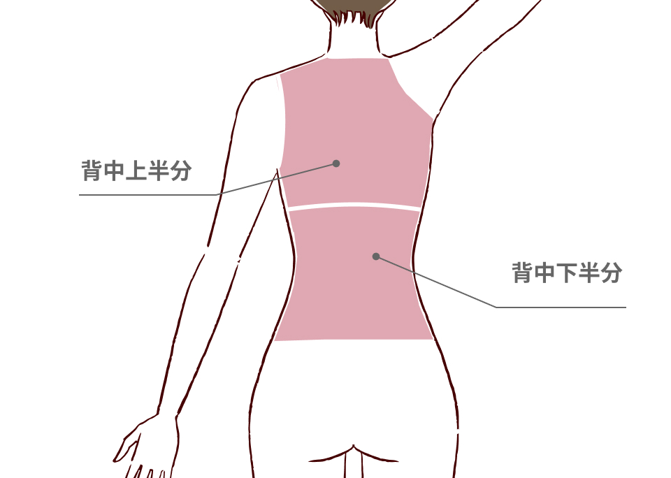 about-back