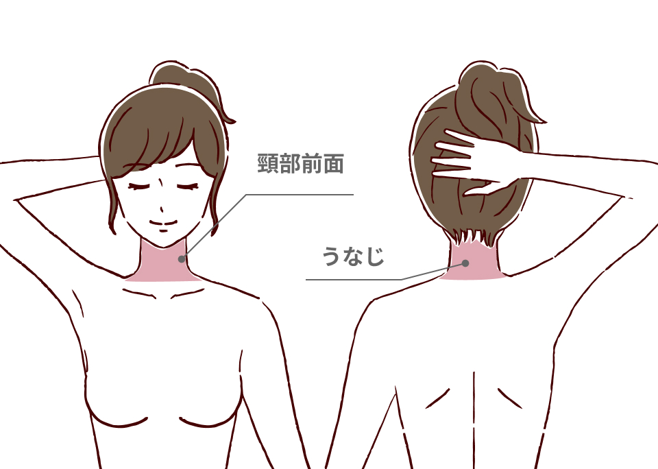 about-neck