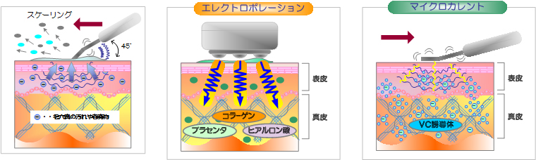 cat04_img